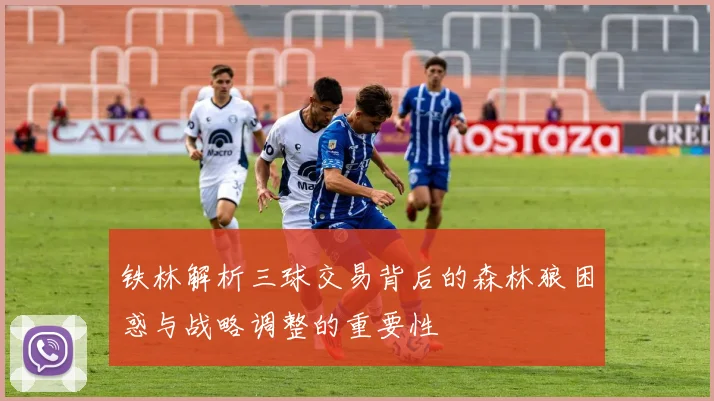 铁林解析三球交易背后的森林狼困惑与战略调整的重要性
