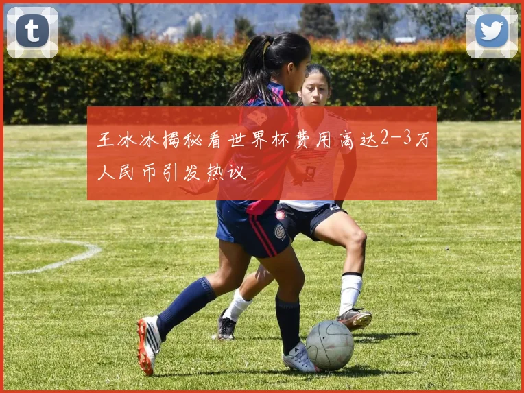 王冰冰揭秘看世界杯费用高达2-3万人民币引发热议