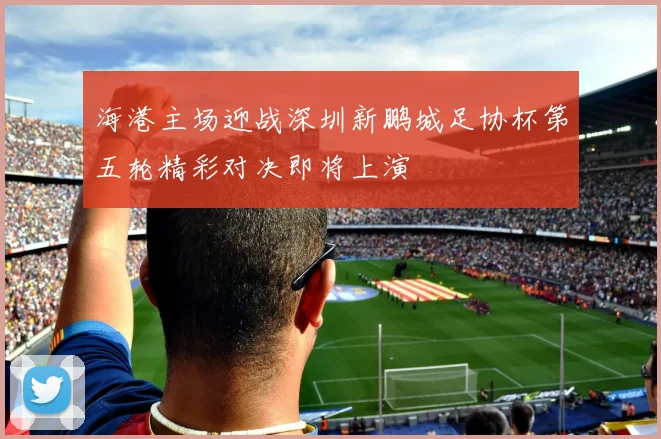 海港主场迎战深圳新鹏城足协杯第五轮精彩对决即将上演