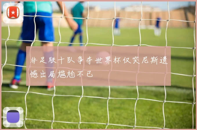非足联十队争夺世界杯仅突尼斯遗憾出局尴尬不已